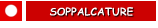 SOPPALCATURE